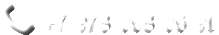  +7 978 068 06 91